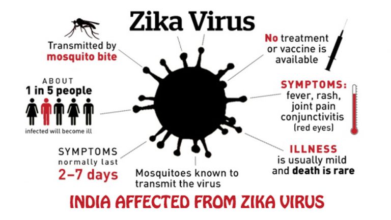 ज़ीका वायरस भारत में, WHO ने की पुष्टि